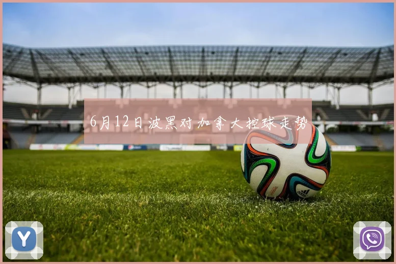 6月12日波黑对加拿大控球走势