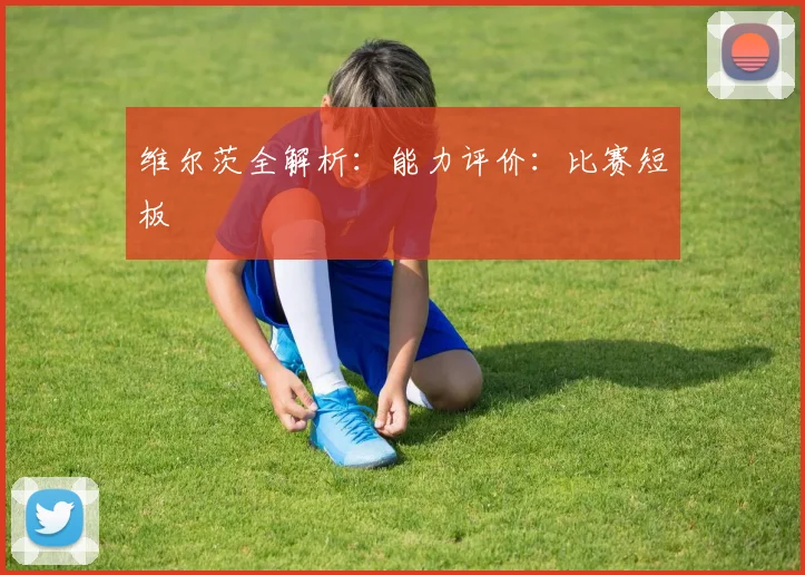 维尔茨全解析:能力评价:比赛短板