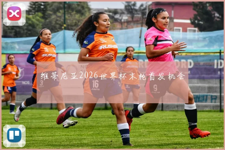 维蒂尼亚2026世界杯末轮首发机会