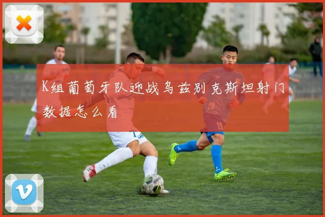 K组葡萄牙队迎战乌兹别克斯坦射门数据怎么看